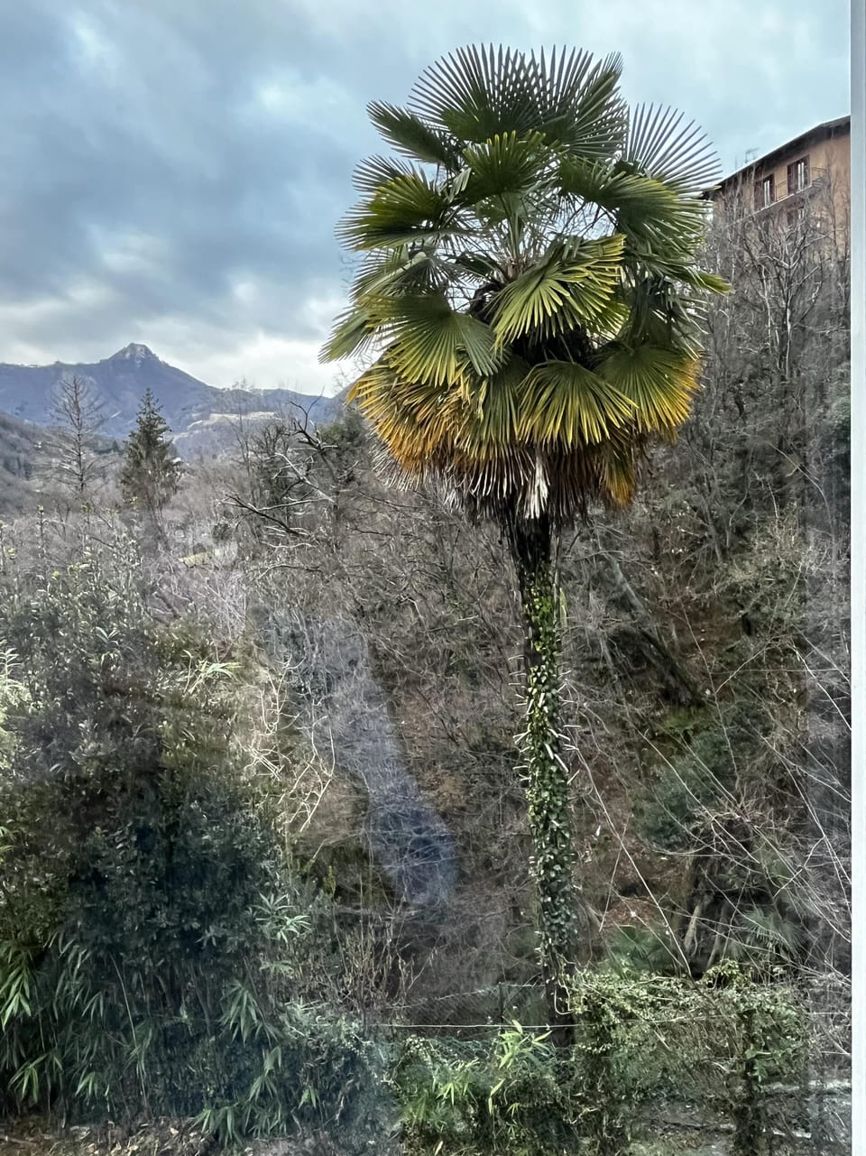 View from property