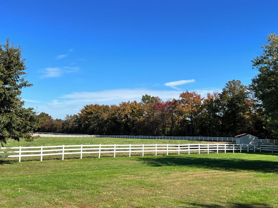 Kentucky Horse Park: Breathtaking sunrises & serene beauty