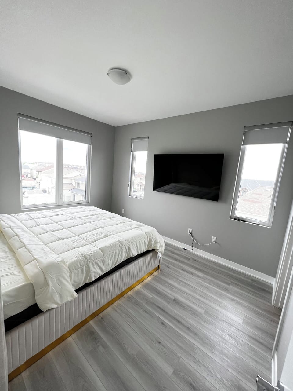 Master Bedroom - King Bed with 65 Inch TV, walk in closet, and walk in washroom
