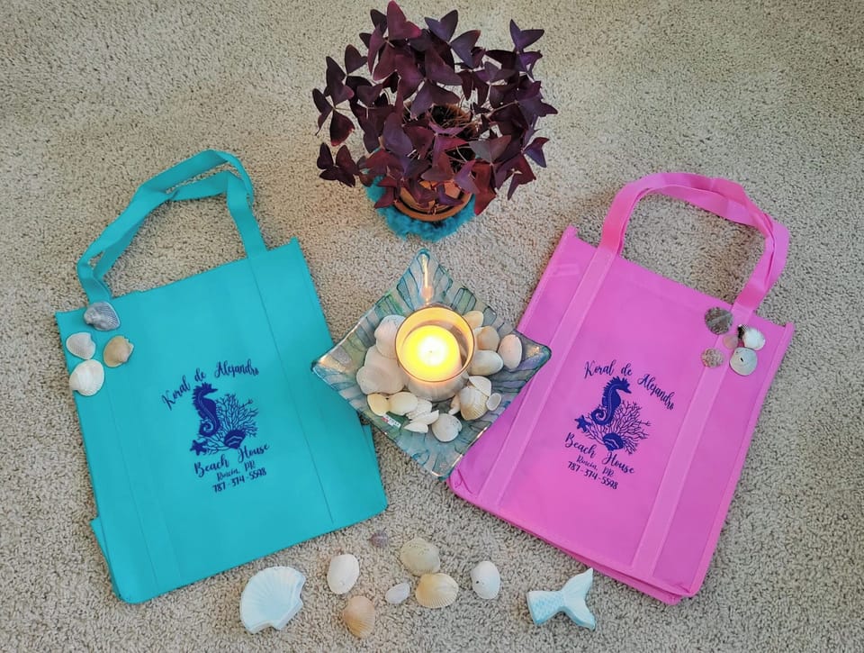 Reusable shopping bags for you. Rincon is a plastic shopping bag free. 