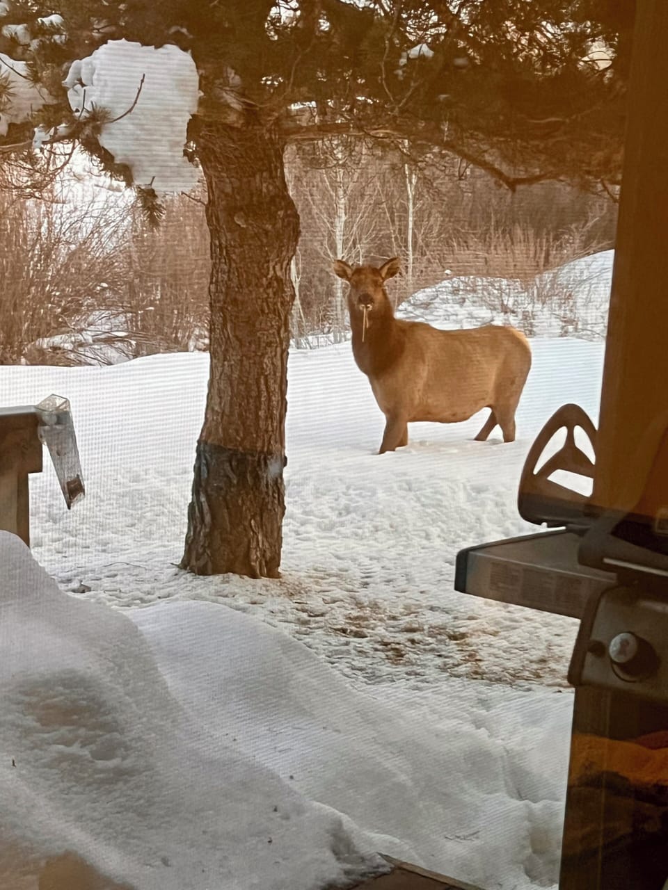 View from property