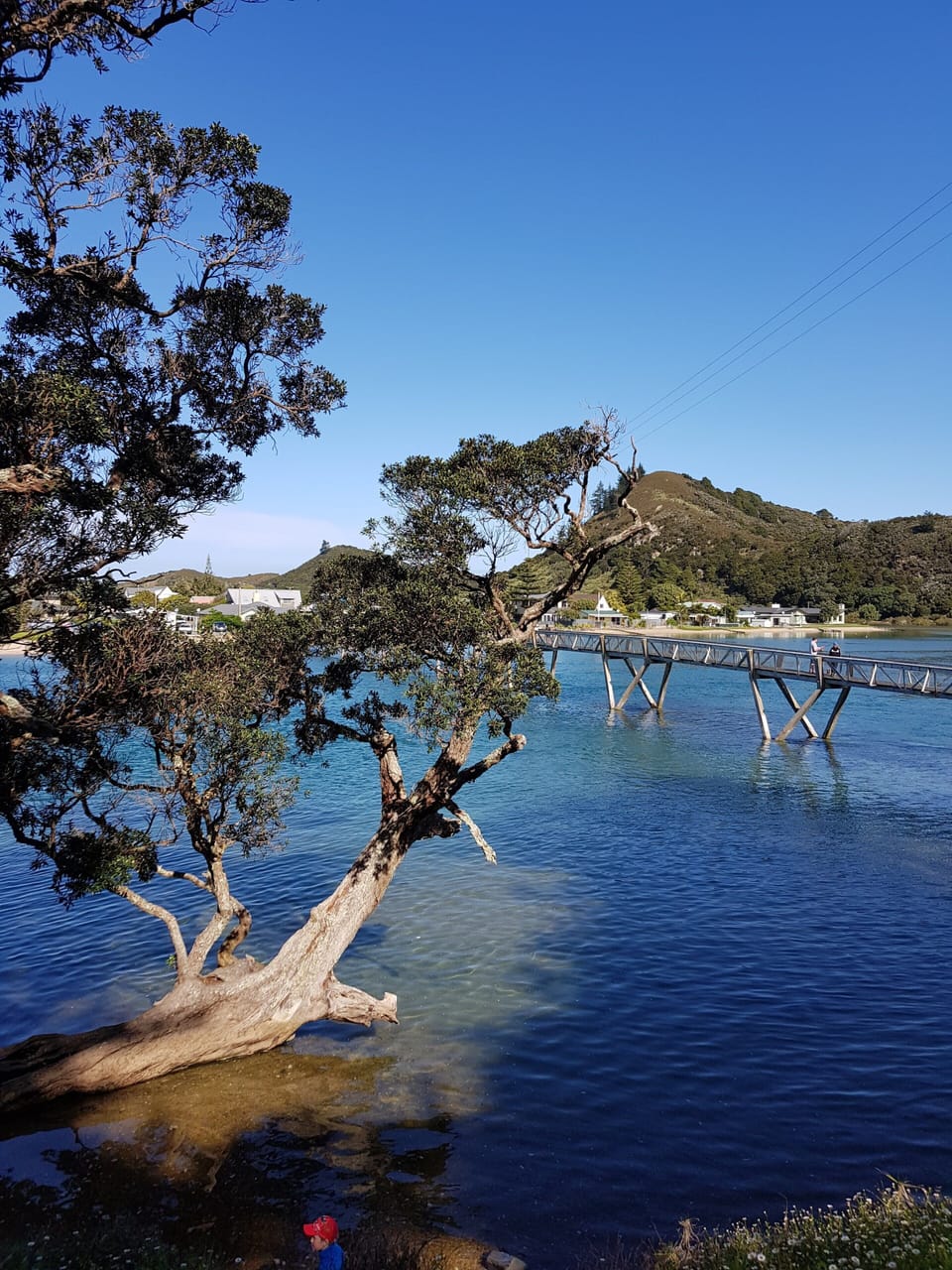 The Pataua Estuary