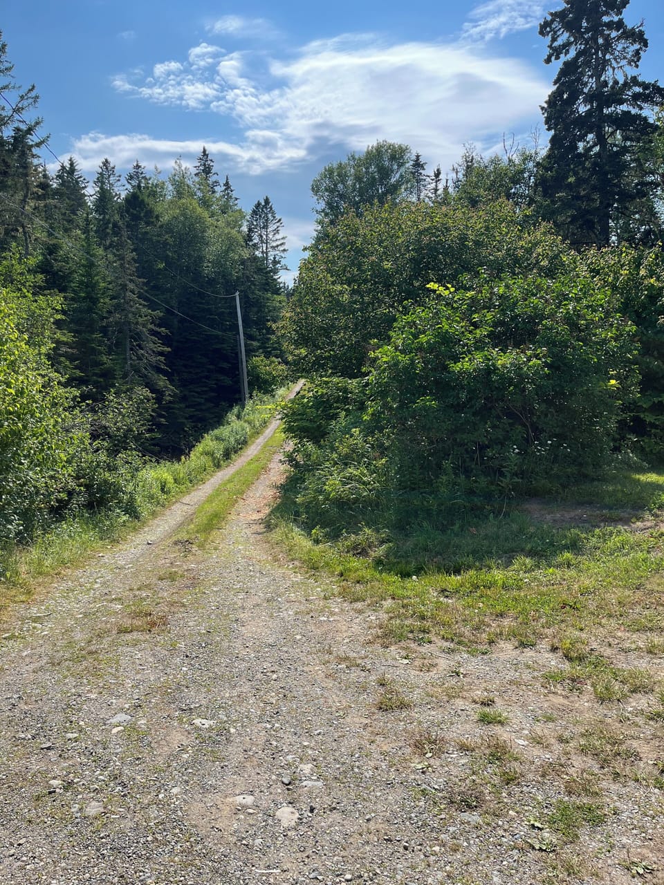 Miscellaneous
