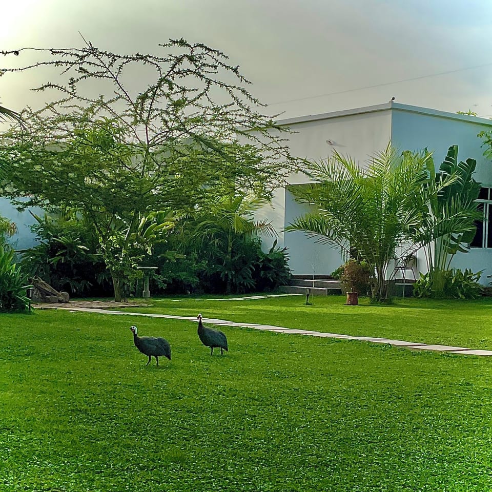 Property grounds