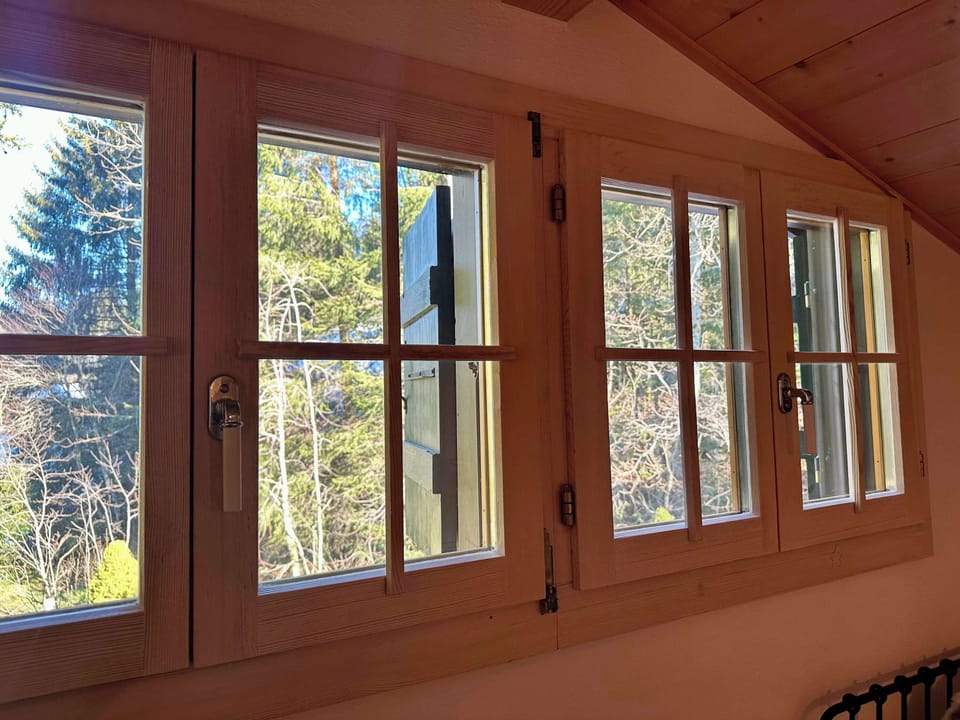 backyard window view