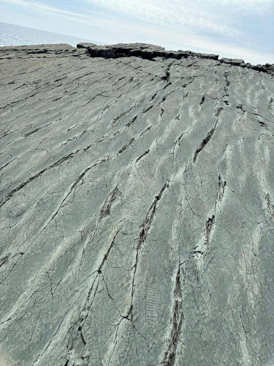 UNESCO World Heritage Fossil Hike @ Mistaken Point