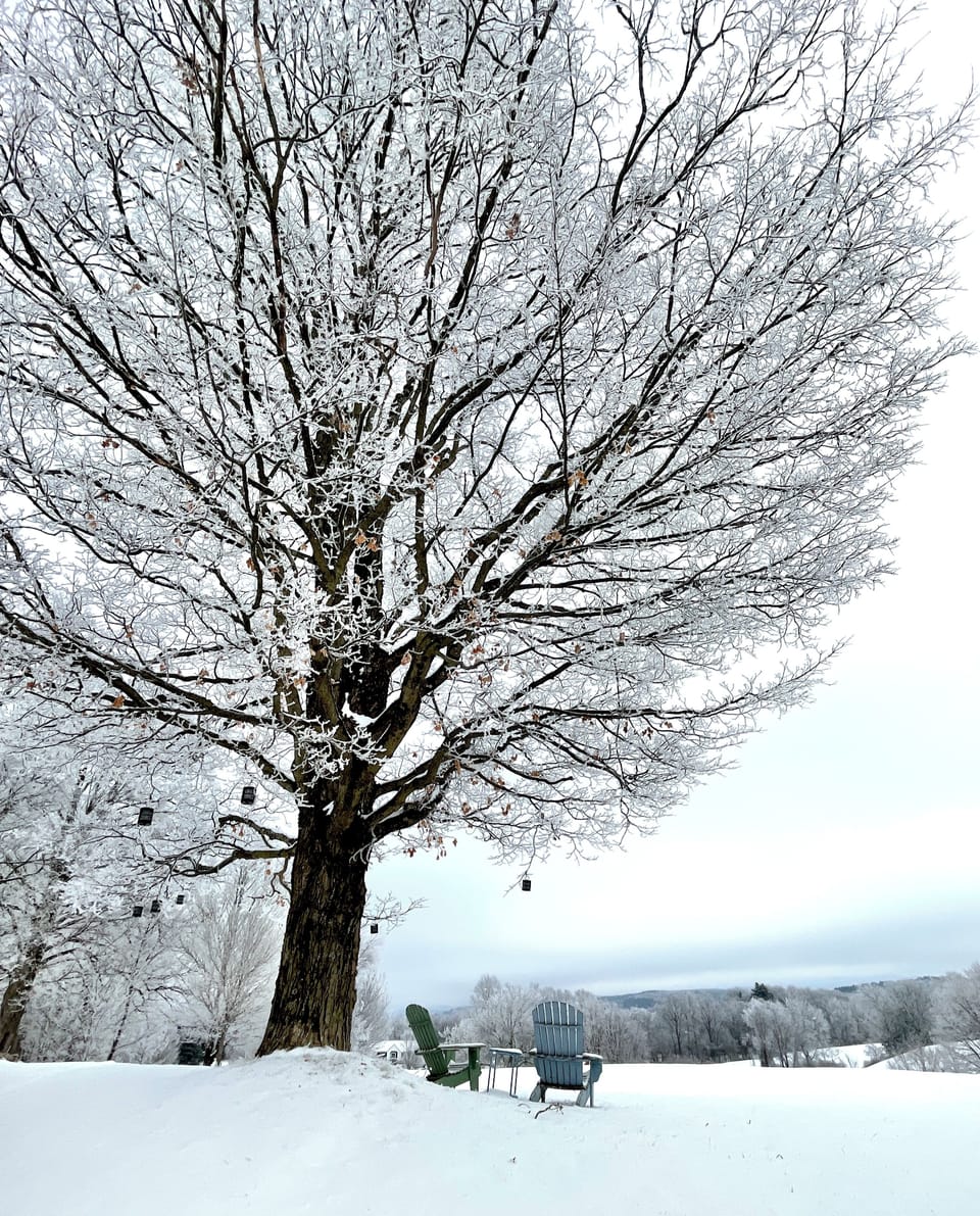 Winter views from apartment, looking East