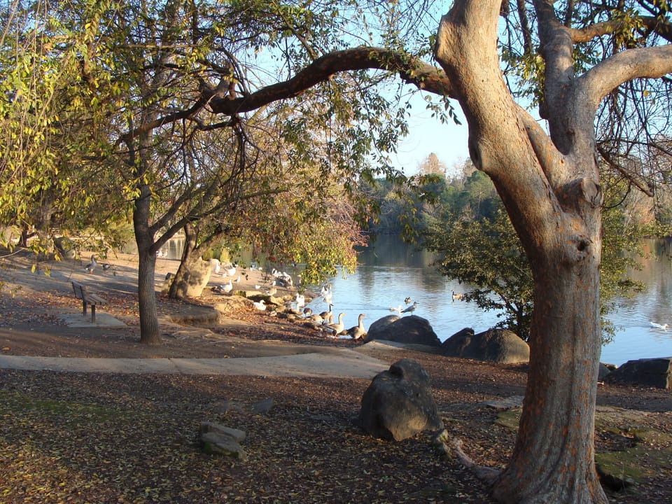 Stroll nearby nature trails and enjoy peaceful waterside views.