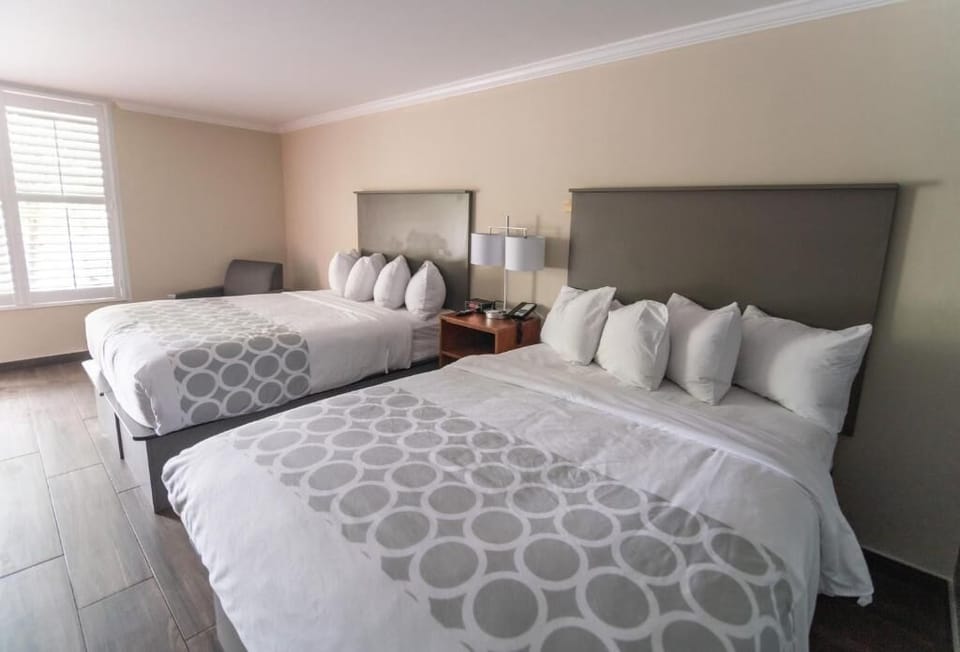 Unwind in crisp double beds with bright, airy comfort.