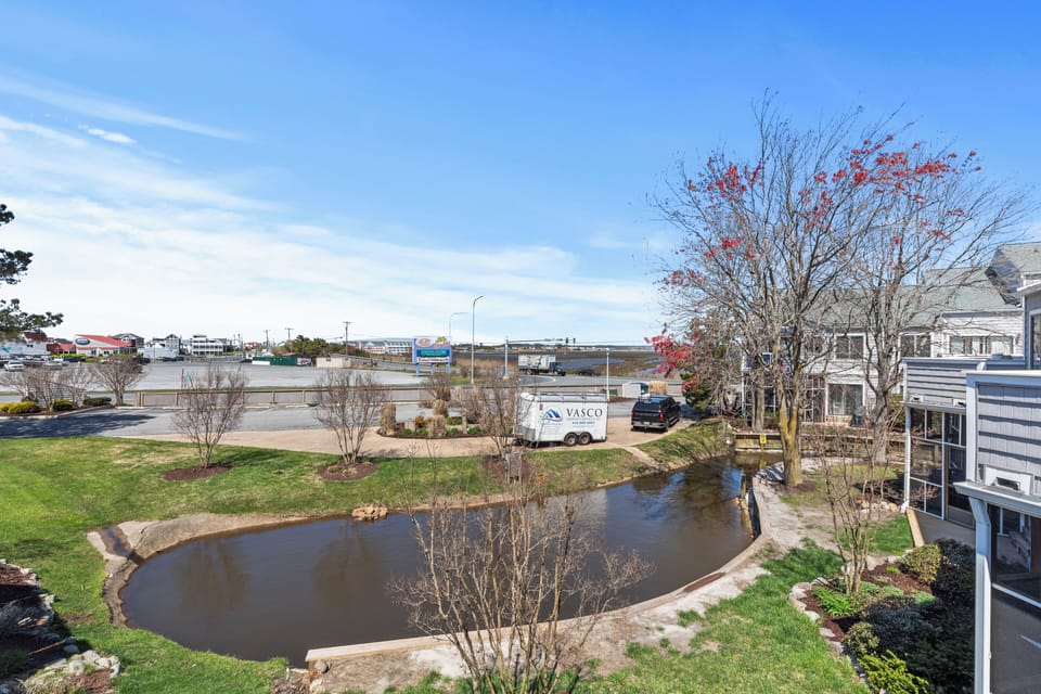 Views of the pond and bay