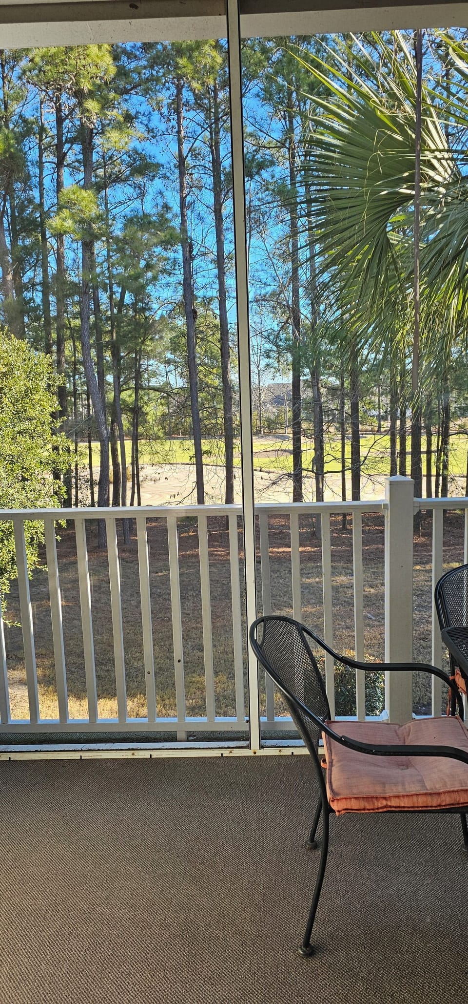 Balcony View