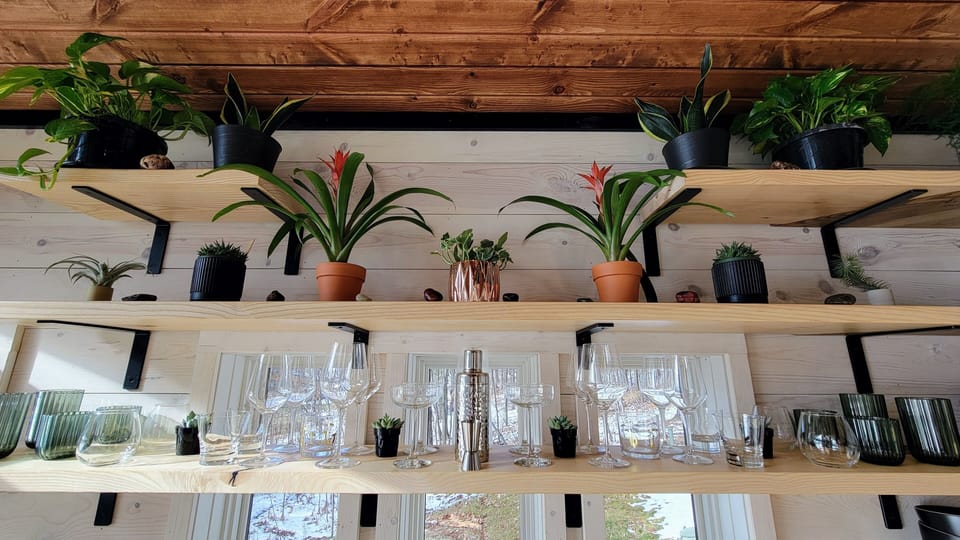 Cool plants and quality glassware are all part of the amenity and aesthetic