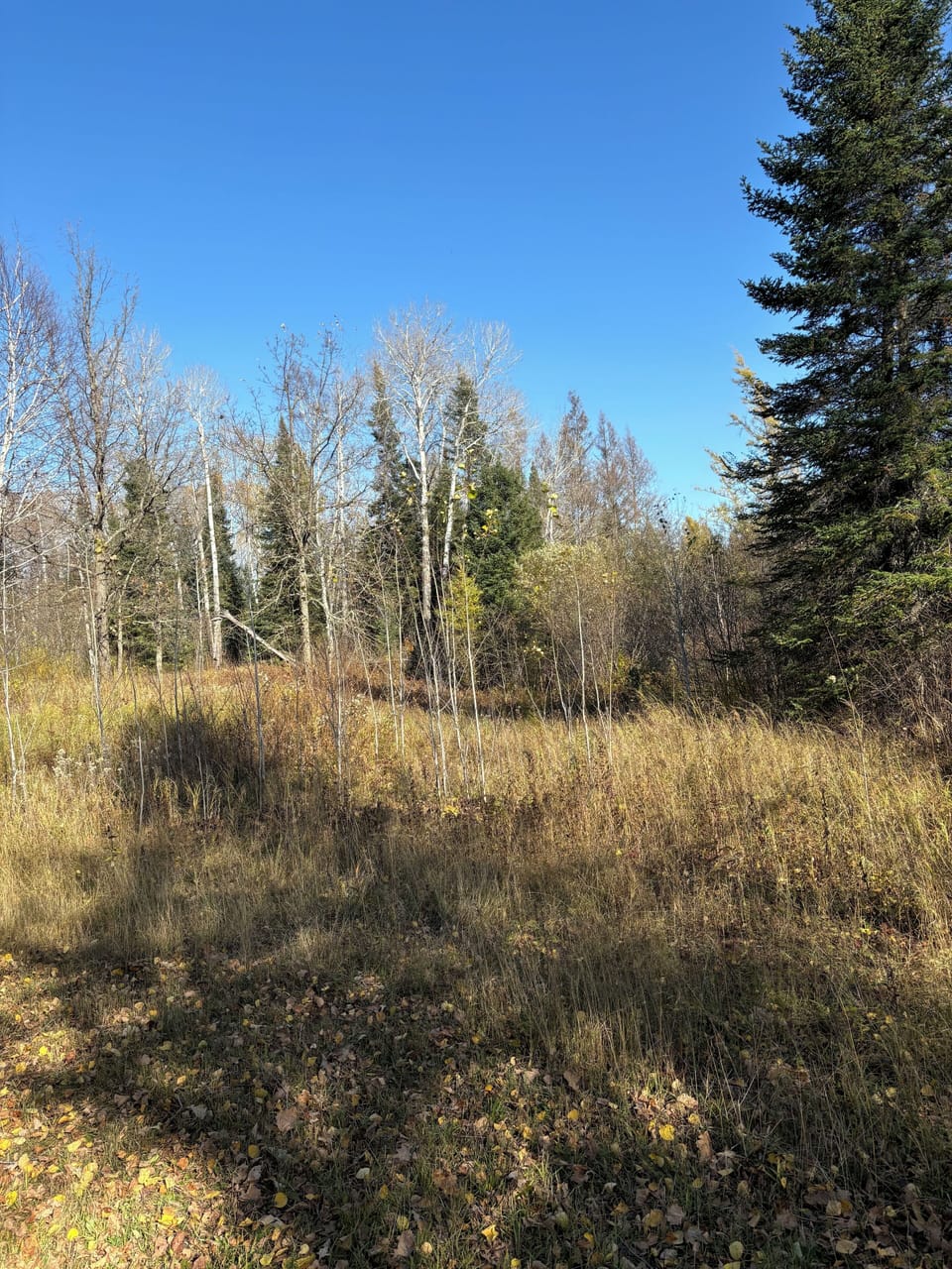 Area around stand #2