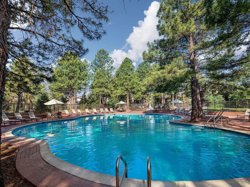 Soak up sunshine with plenty of loungers and forest views.