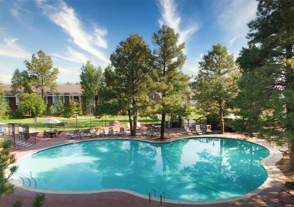 Dive into a serene pool day surrounded by towering pines.