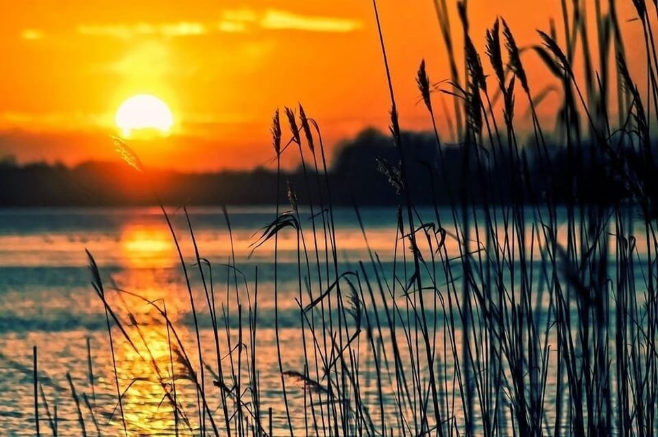 Delaware shores sunsets park