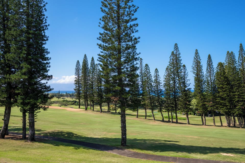 These trails are perfect for a morning jog or a leisurely walk, allowing you to enjoy the lush landscapes and serene environment.