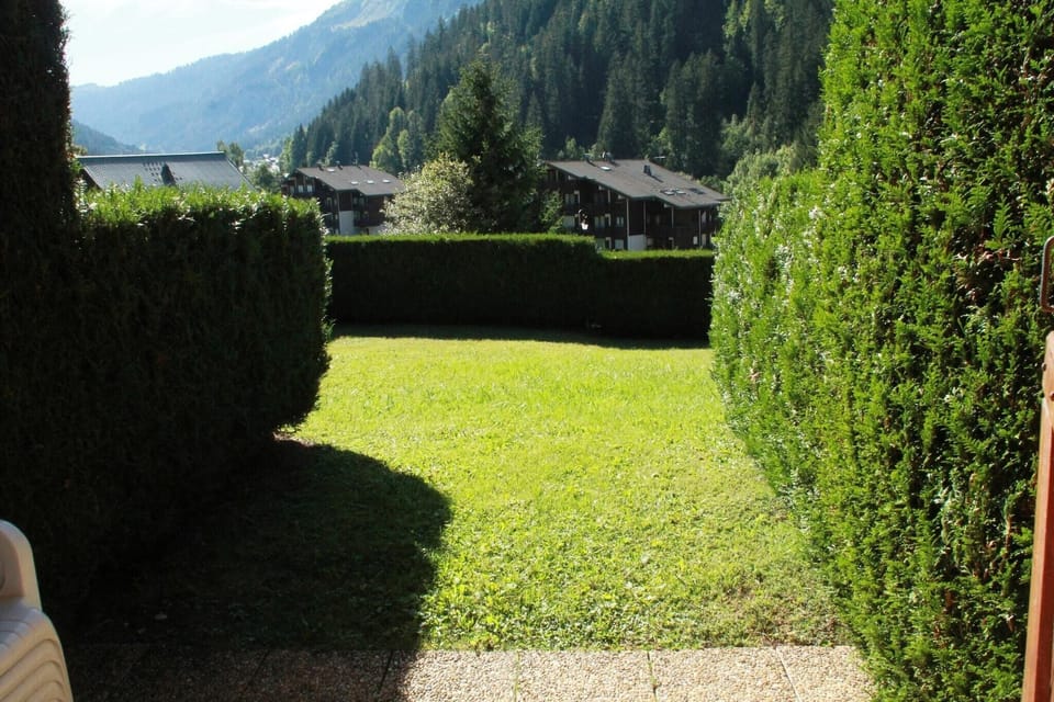 Garden [summer]