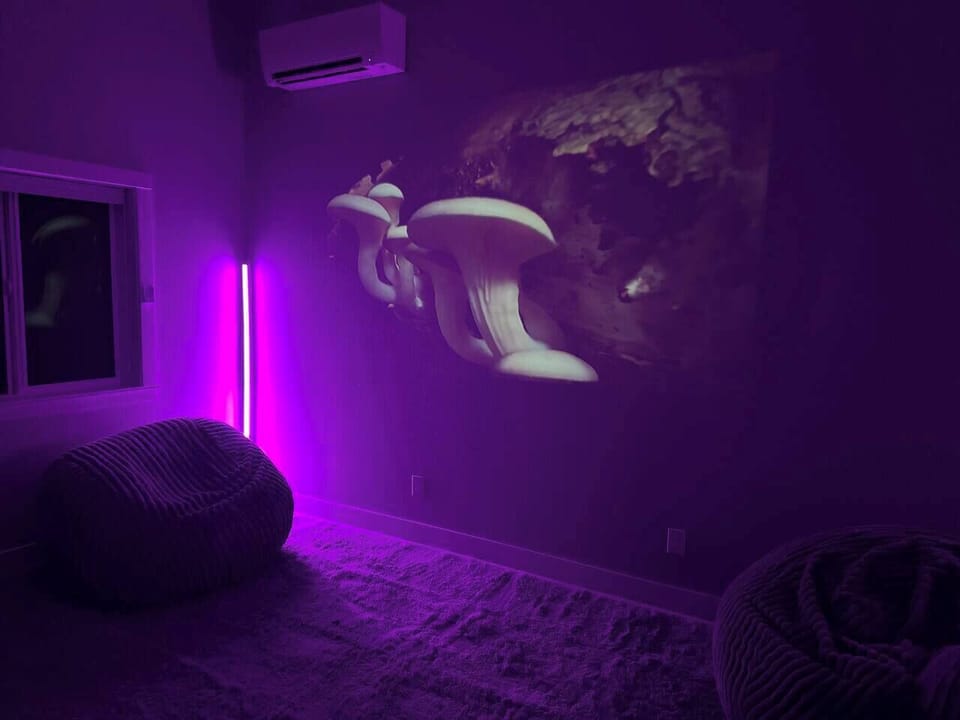 With or without the ambient lighting, enjoy the projector DVD movie area with theater seating and giant bean bags and STOCKED mini-fridge.