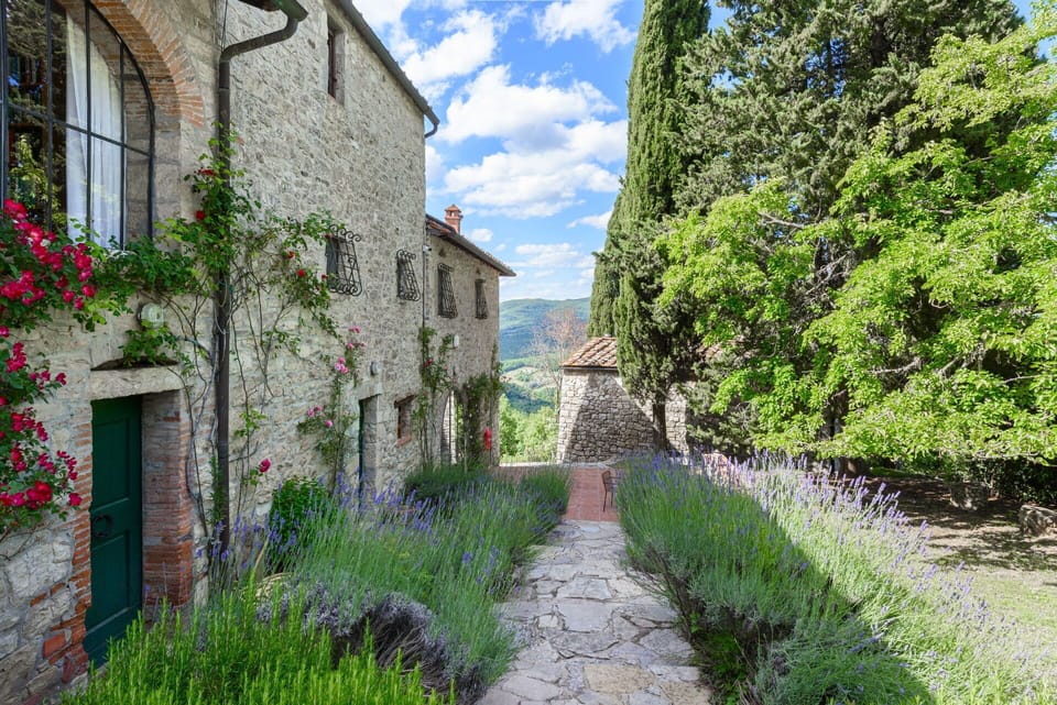 Shrub, Garden, Groundcover, Brick, Landscaping, Stone Wall, Botanical Garden, Plantation