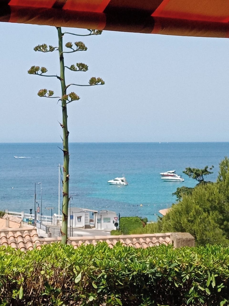View from property