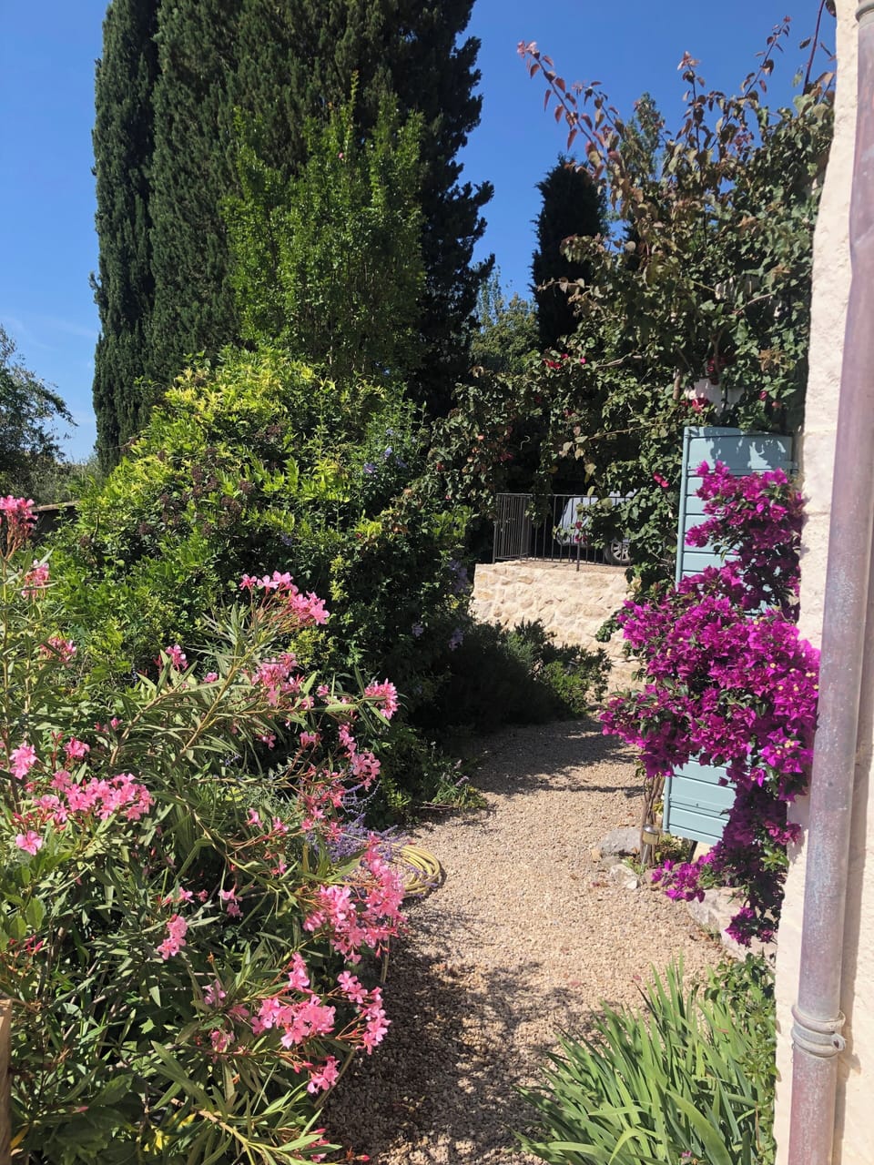 Flowers of Summer