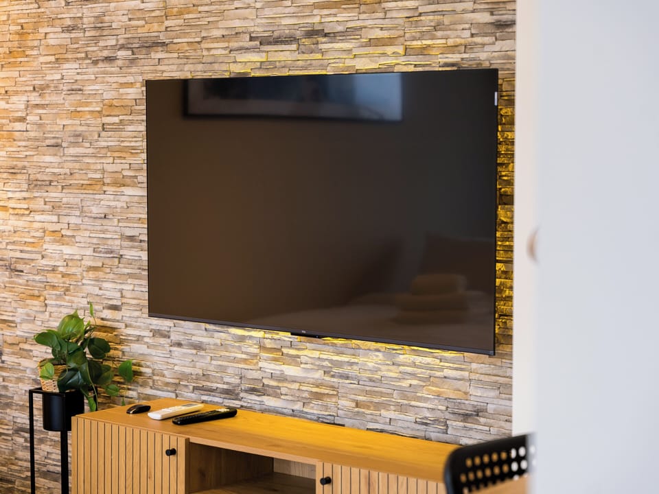 Television