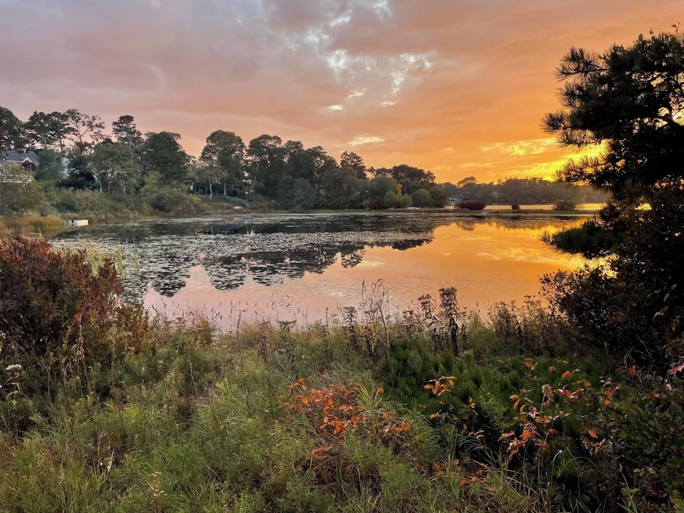 One more angle of Buck's Pond at sunset.