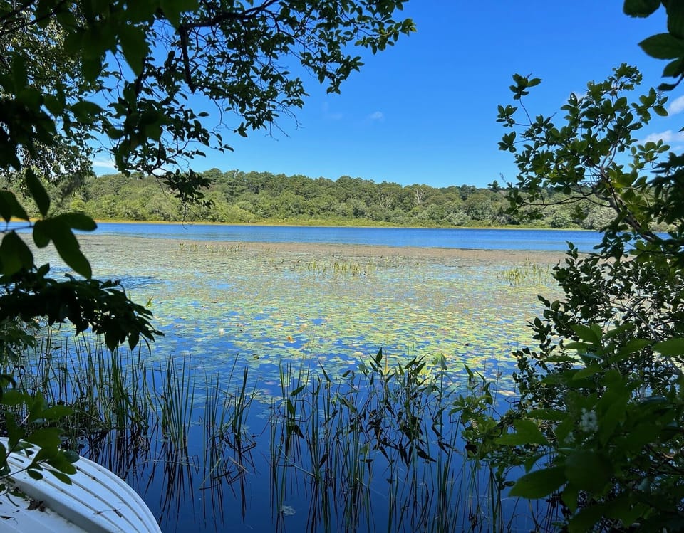 Mill Pond