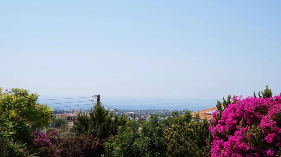 View upstairs above trees, sea is 2 miles