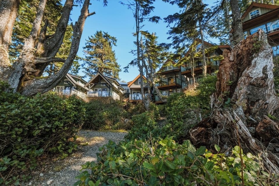 Forest-view cabins with decks, steps to beach trails and ocean views.