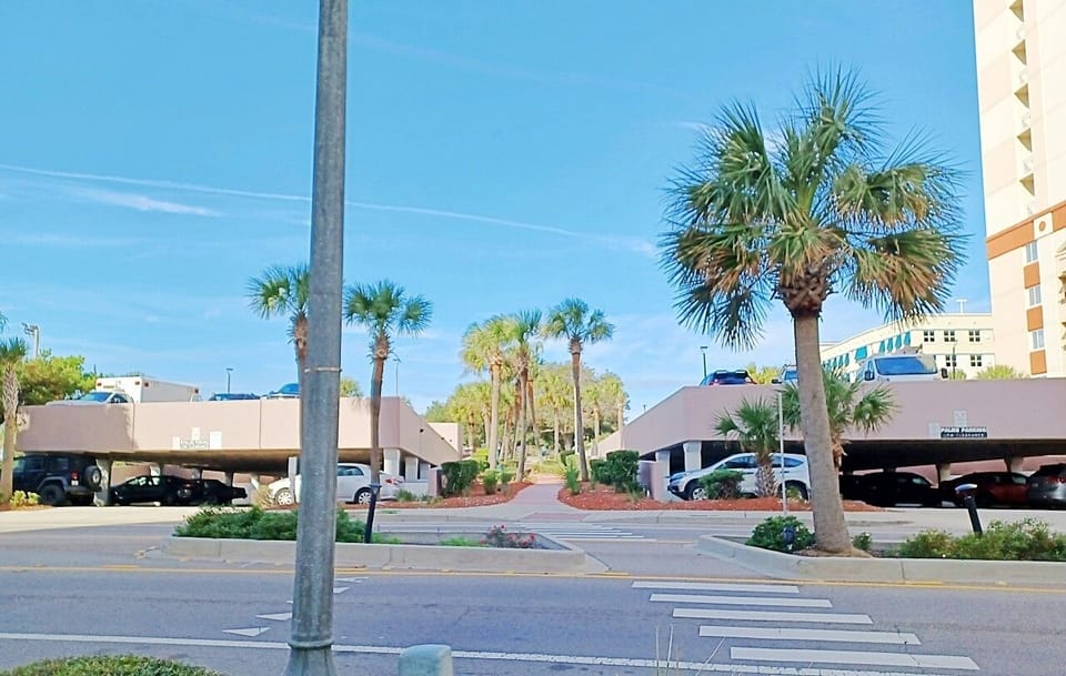 Palms' parking decks - 1 pass per condo