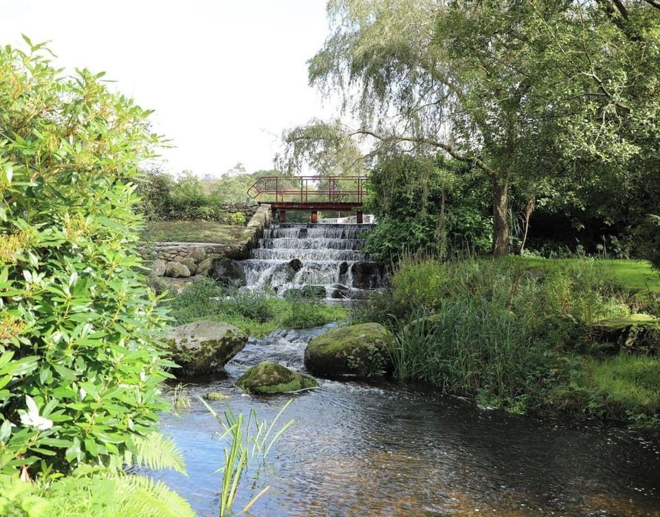 Image 28