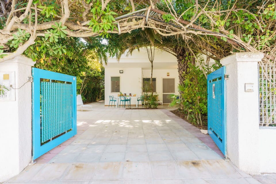 Door, Home Door, Shade, Hacienda, Gate, Eco Hotel, Resort, Houseplant, Tile, Courtyard