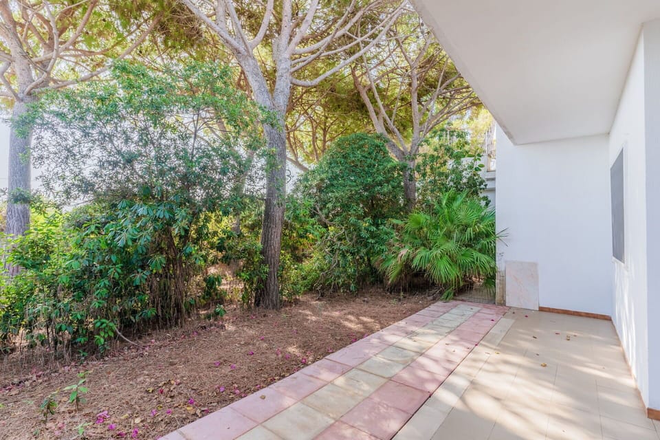 Leaf, Shrub, Garden, Woody Plant, Landscaping, Shade, Walkway, Backyard, Yard