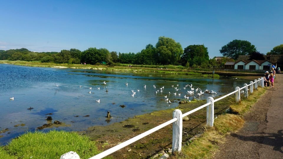 Through Golden Hill country park, lunch at Red Lion, then walk/cycle to Yarmouth