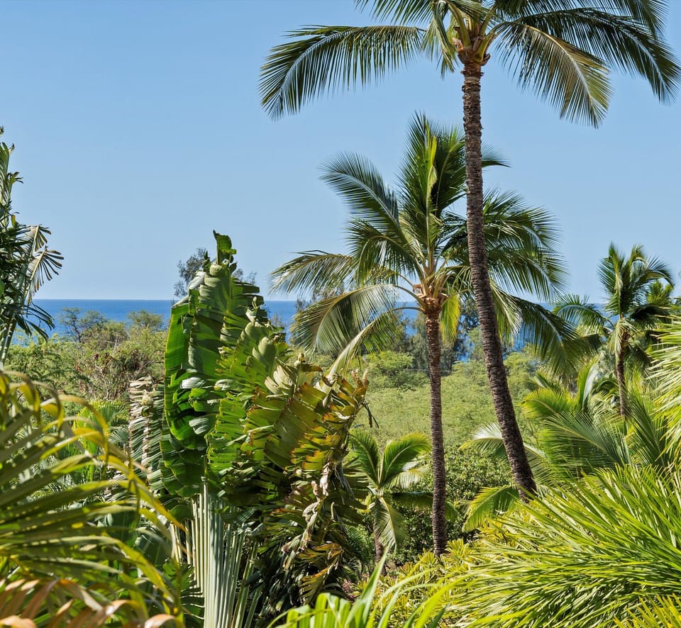Close up views of the ocean from the patio