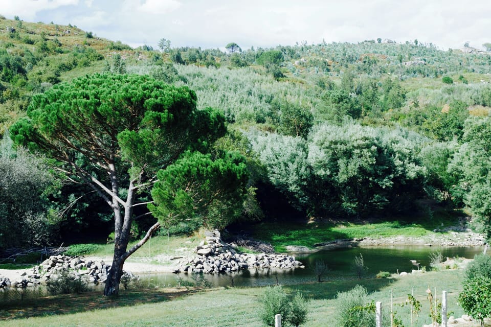 view down to the river