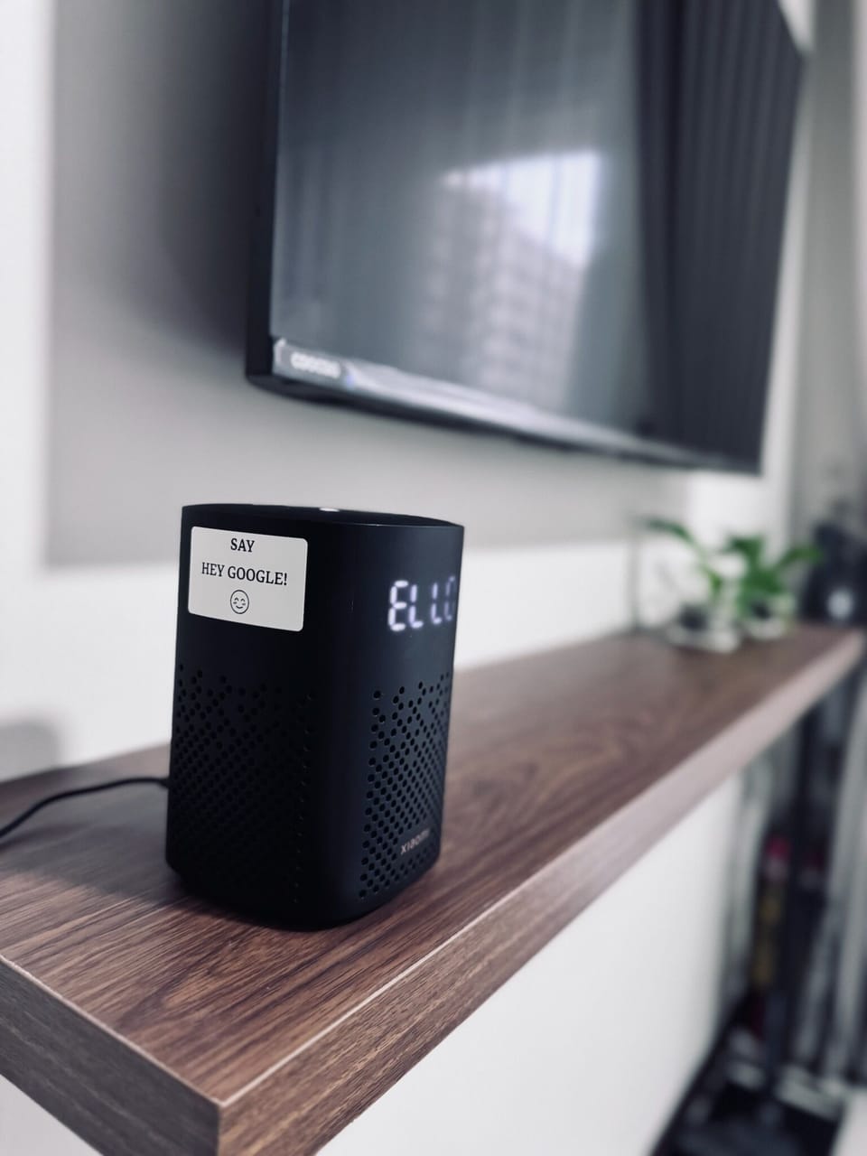 Smart Home Speaker