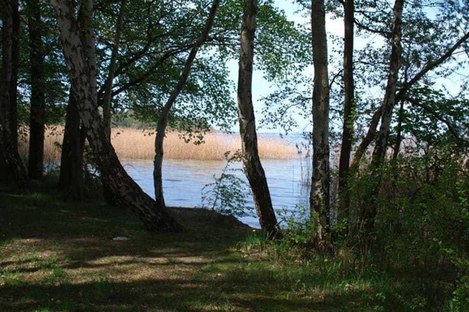 Surroundings [summer] (1-5 km)