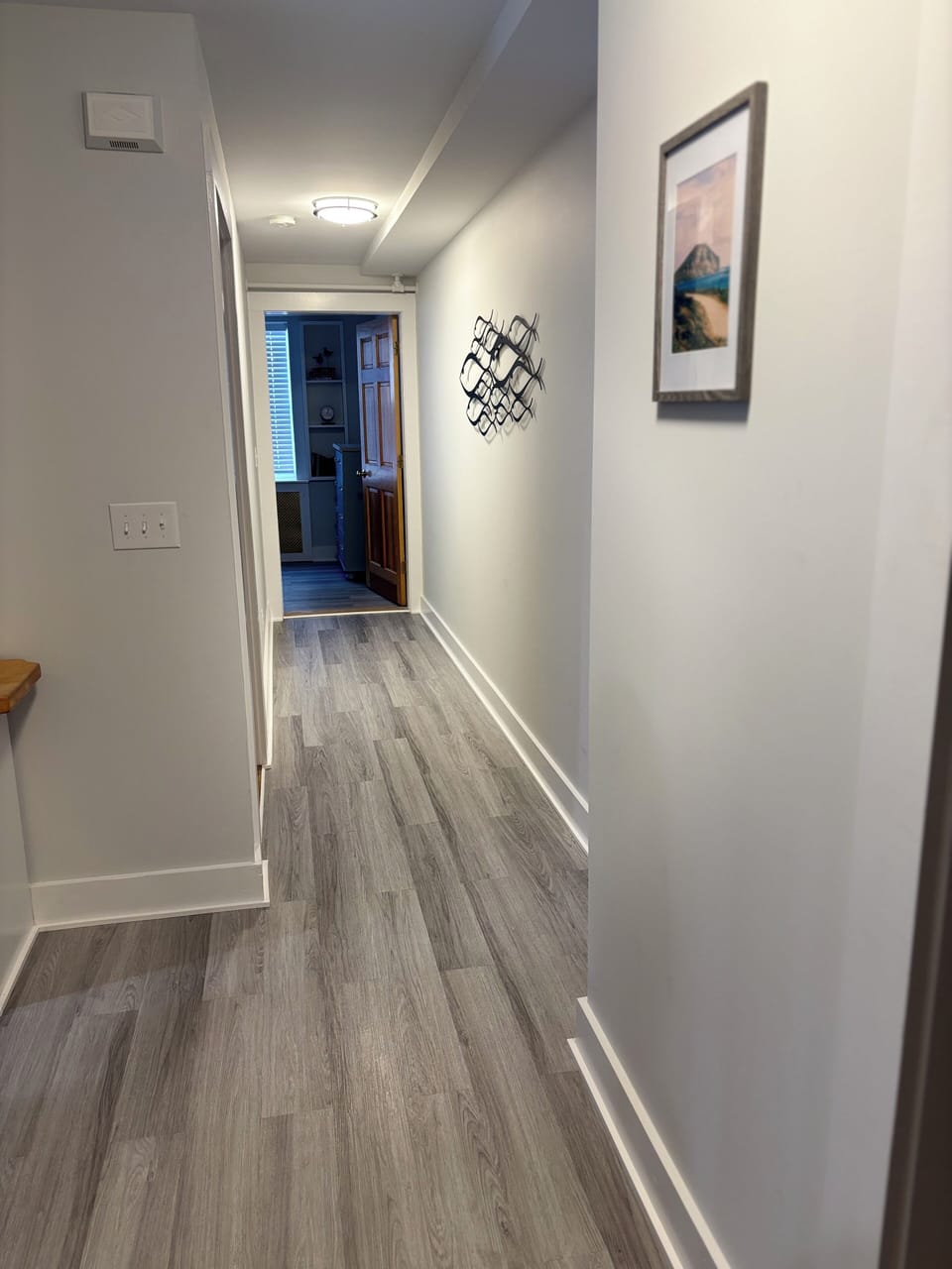Downstairs hallway 