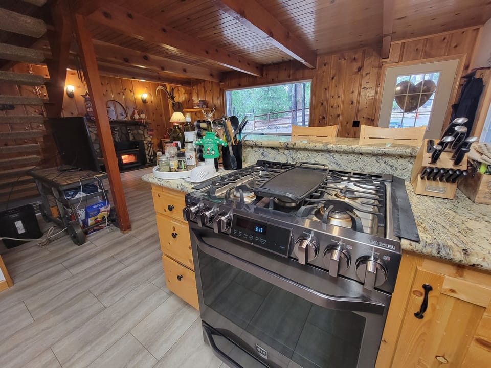 Gas Stove and Oven in Kitchen