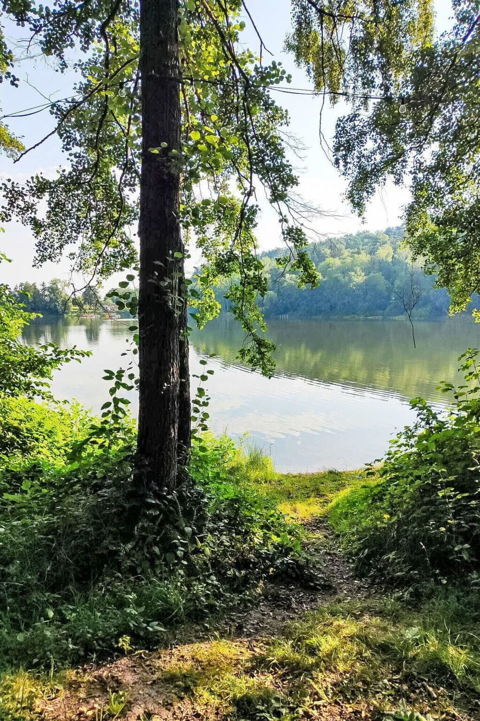 Green, Water, Leaf, Body Of Water, Nature, Water Resources, Natural Environment, Tree, Branch, Natural Landscape