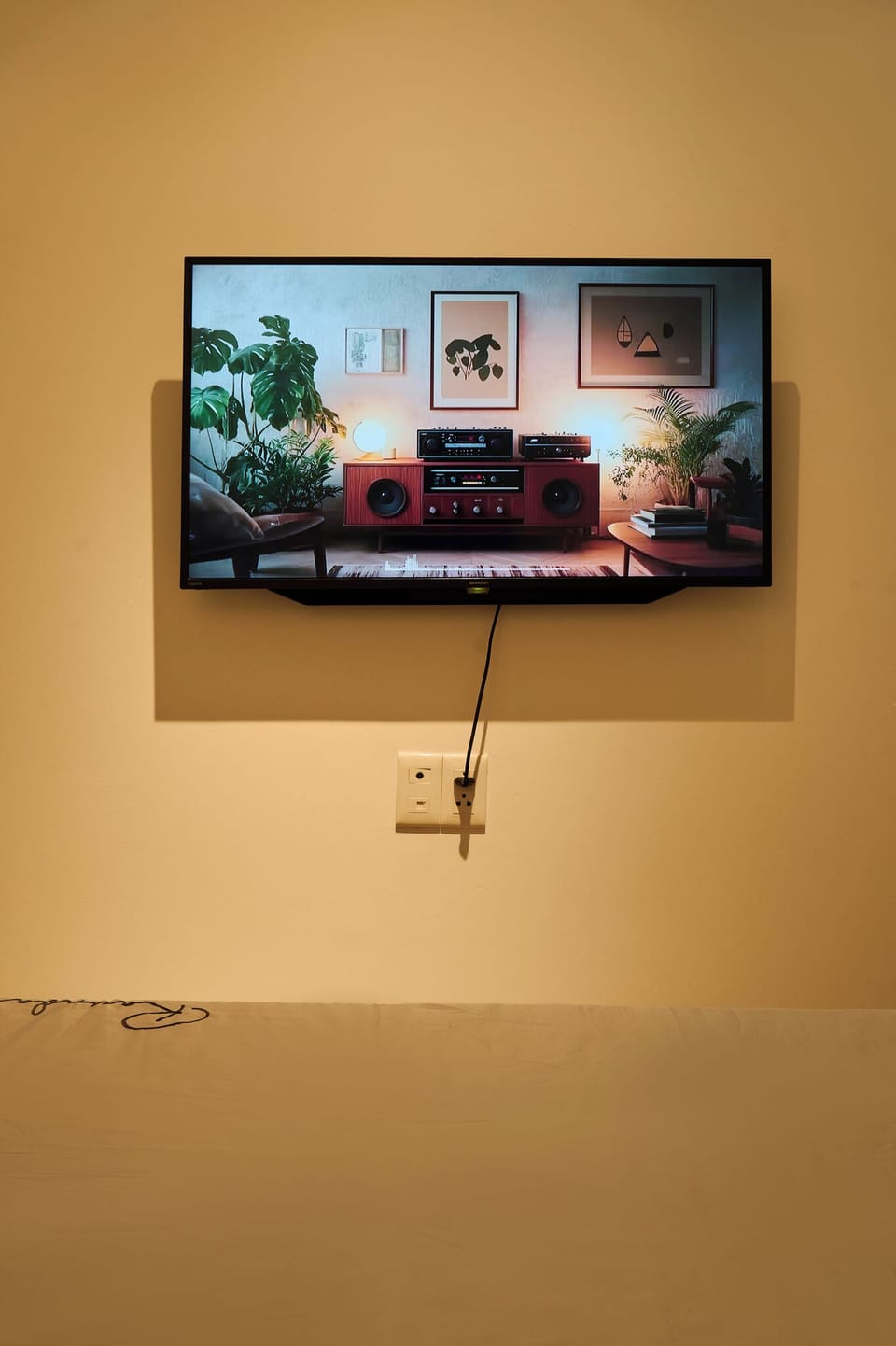 Television