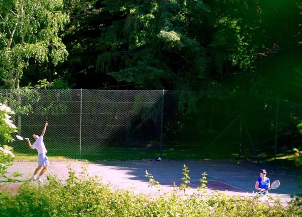 Sport court