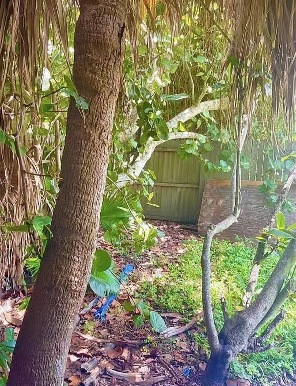 Property grounds
