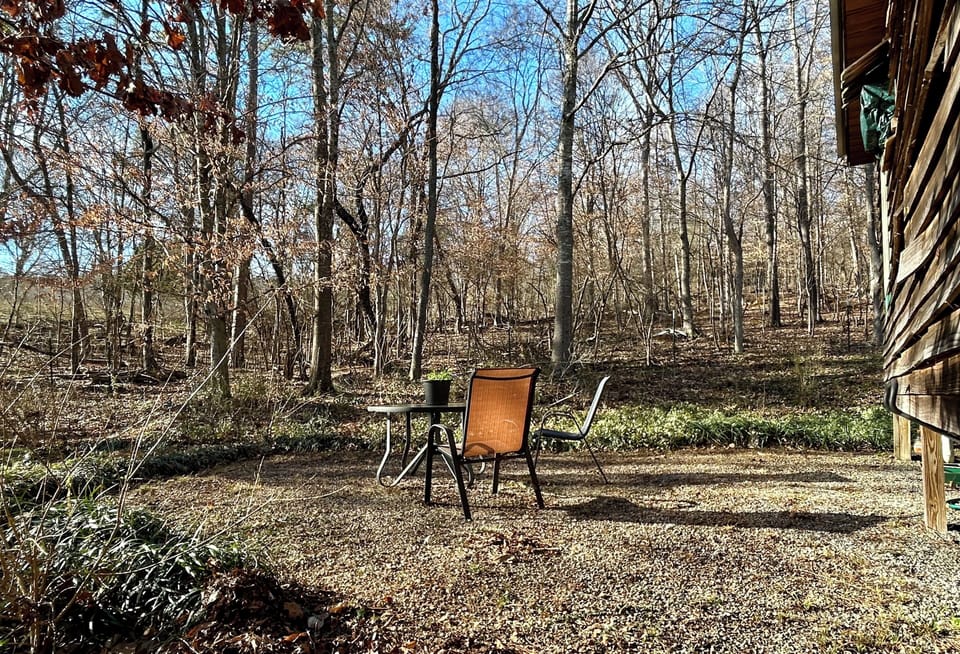Backyard View