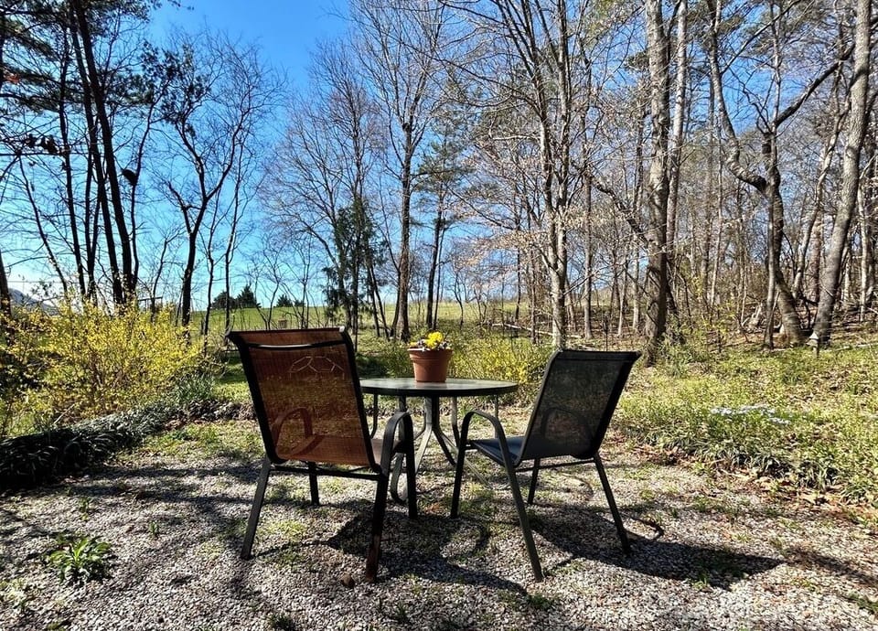 Backyard Dining Area