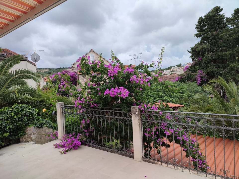 Terrace 2