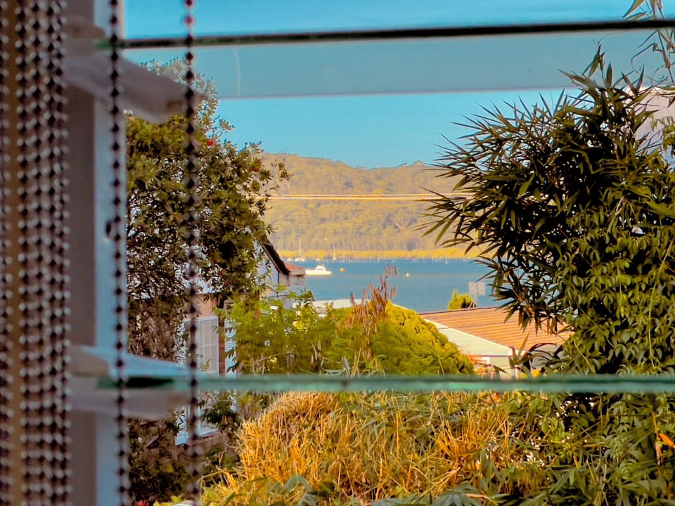 slice of view from The GRAPEViNE
